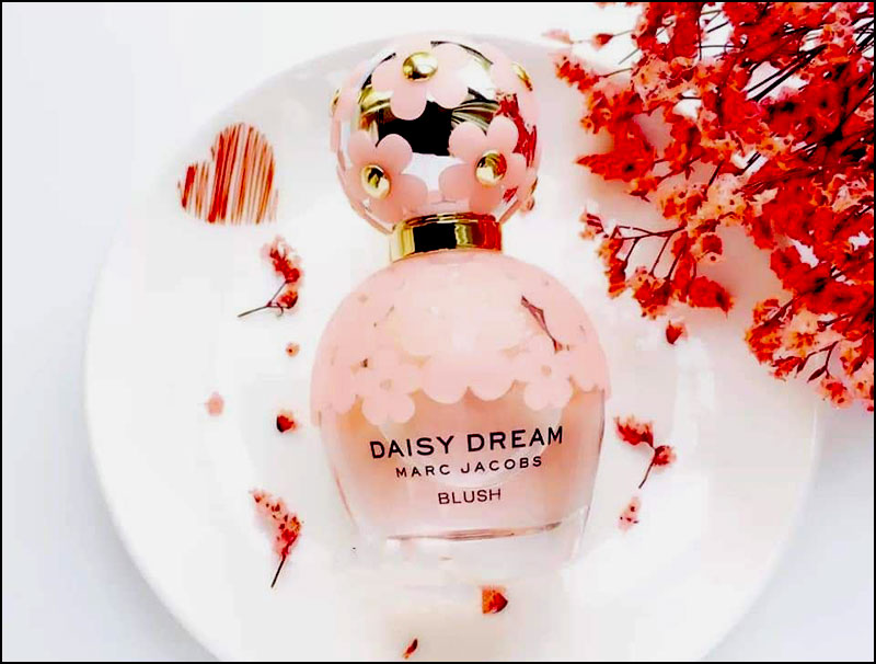 Nước hoa nữ Marc Jacobs Daisy Dream Blush EDP - 50ml