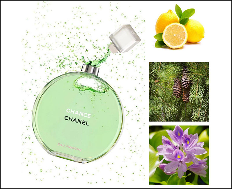Nước hoa nữ Chanel Chance Eau Fraiche - 35ml